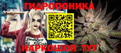spice Кулебаки