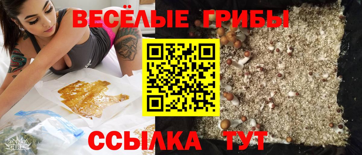 Сорочинск  как найти закладки  Вход с VPN  Галлюциногенные грибы Magic Shrooms  Галлюциногенные грибы GOLDEN TEACHER 