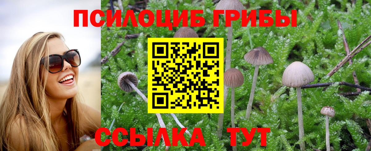 Псилоцибиновые грибы MAGIC MUSHROOMS Сорочинск